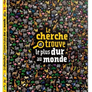 DISNEY - LE CHERCHE ET TROUVE LE PLUS DUR AU MONDE