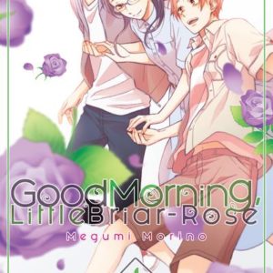 GOOD MORNING LITTLE BRIAR-ROSE - GOOD MORNING, LITTLE BRIAR-ROSE - TOME 4 - VOL04