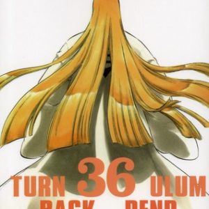 BLEACH - TOME 36 - TURN BACK THE PENDULUM