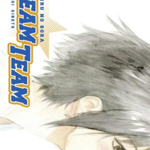 DREAM TEAM - T27 - DREAM TEAM - TOME 37-38