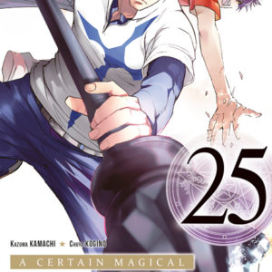 A CERTAIN MAGICAL INDEX T25