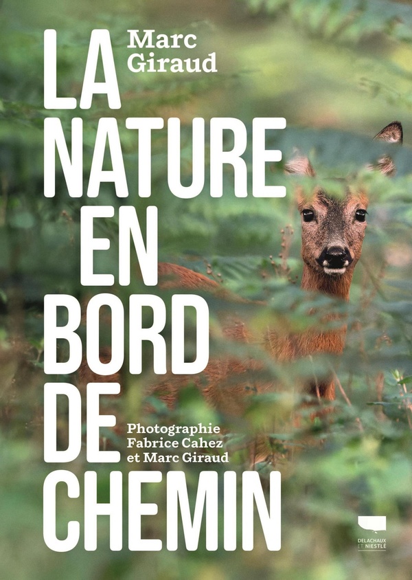 LA NATURE EN BORD DE CHEMIN