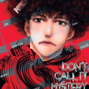 DON'T CALL IT MYSTERY - TOME 10