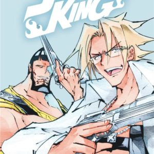 SHAMAN KING STAR EDITION - TOME 13
