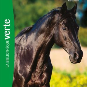 L'ETALON NOIR - T01 - L'ETALON NOIR 01 NED - L'ETALON NOIR