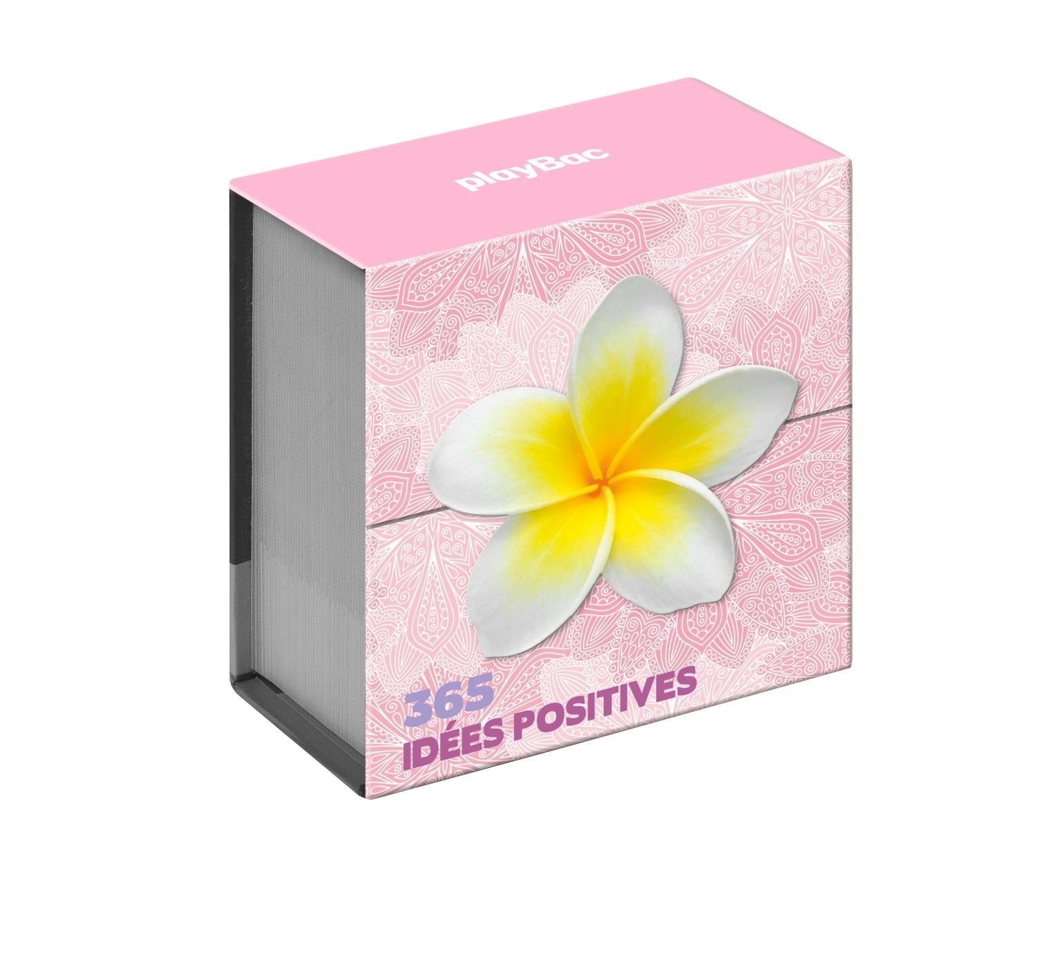 MINI CALENDRIER - 365 IDEES POSITIVES
