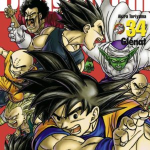 DRAGON BALL PERFECT EDITION - TOME 34