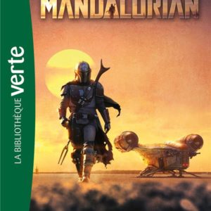 STAR WARS THE MANDALORIAN - T01 - STAR WARS THE MANDALORIAN 01 - L'ENFANT