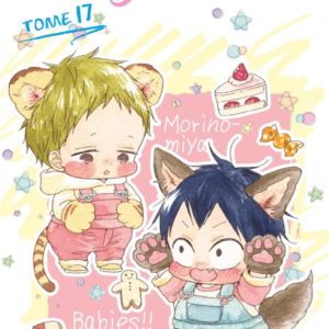BABY-SITTERS - TOME 17