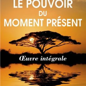 LE POUVOIR DU MOMENT PRESENT - OEUVRE INTEGRALE - GUIDE D'EVEIL SPIRITUEL