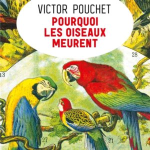 POURQUOI LES OISEAUX MEURENT