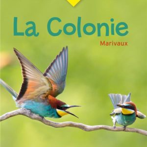 BIBLIOLYCEE PRO - LA COLONIE, MARIVAUX