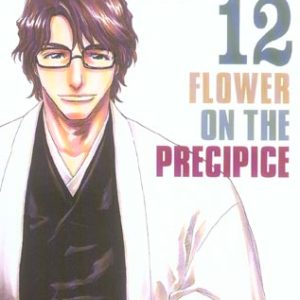 BLEACH - TOME 12 - FLOWER ON THE PRECIPICE