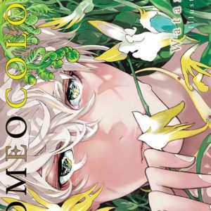 ROMEO COLORS ARTBOOK
