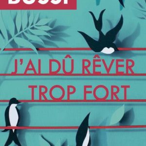 J'AI DU REVER TROP FORT