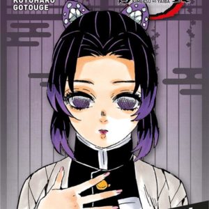 DEMON SLAYER - EDITION PILIER T07