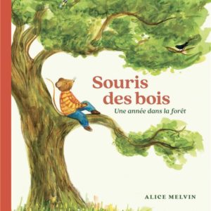 SOURIS DES BOIS - UNE ANNEE DANS LA FORET