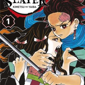 DEMON SLAYER T01