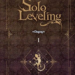 SOLO LEVELING ROMAN T01