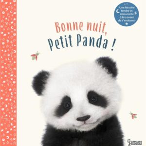 BONNE NUIT PETIT PANDA