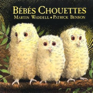 BEBES CHOUETTES