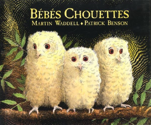 BEBES CHOUETTES