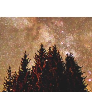 LES FLAMMES DE PIERRE