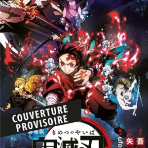 DEMON SLAYER : LE ROMAN DU FILM - LE TRAIN DE L'INFINI