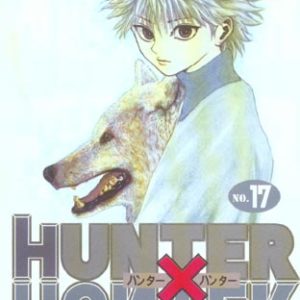 HUNTER X HUNTER - TOME 17