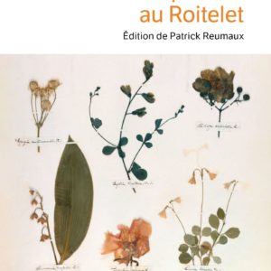 AUTOPORTRAIT AU ROITELET