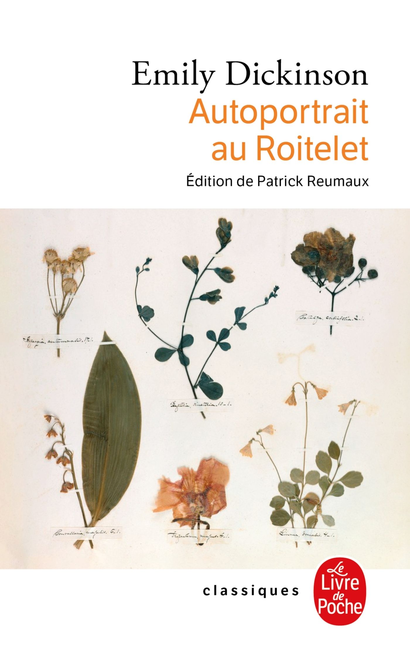 AUTOPORTRAIT AU ROITELET
