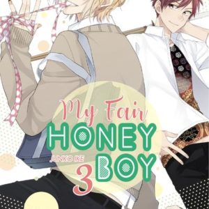 MY FAIR HONEY BOY - TOME 3 - VOL03