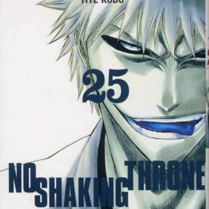 BLEACH - TOME 25 - NO SHAKING THRONE