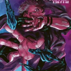 JUJUTSU KAISEN T14