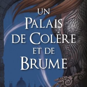 UN PALAIS D EPINES ET DE ROSES T2 - UN PALAIS DE COLERE ET DE BRUME (ACOTAR)