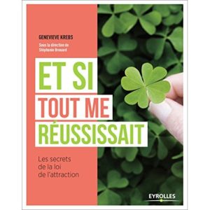 ET SI TOUT ME REUSSISSAIT - LES SECRETS DE LA LOI DE L'ATTRACTION.