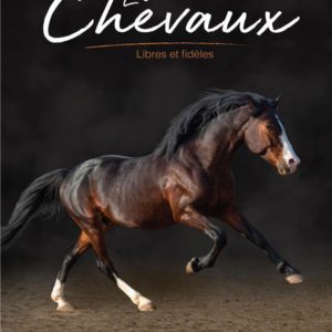 LES CHEVAUX - LIBRES ET FIDELES