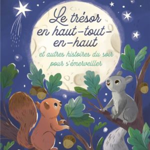 LE TRESOR EN-HAUT-TOUT-EN-HAUT ET AUTRES HISTOIRES DU SOIR POUR S'EMERVEILLER