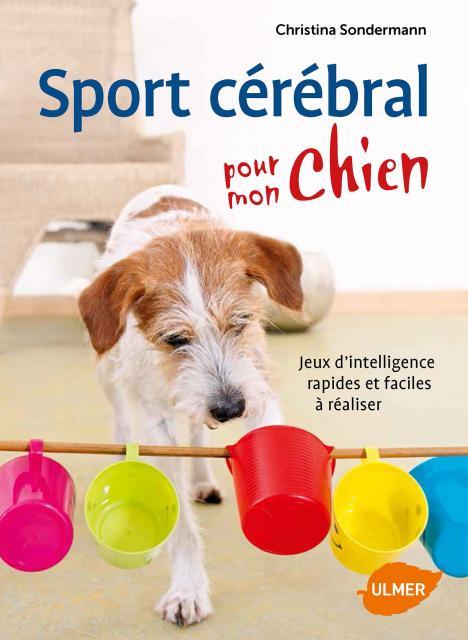 SPORT CEREBRAL POUR MON CHIEN
