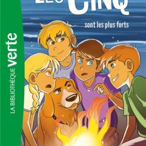 LE CLUB DES CINQ - T22 - LES CINQ 22 NED - LES CINQ SONT LES PLUS FORTS