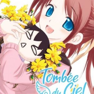 TOMBEE DU CIEL - TOME 05