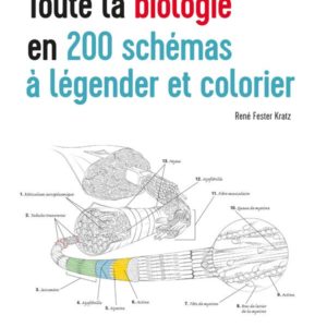 TOUTE LA BIOLOGIE EN 200 SCHEMAS A LEGENDER ET COLORIER