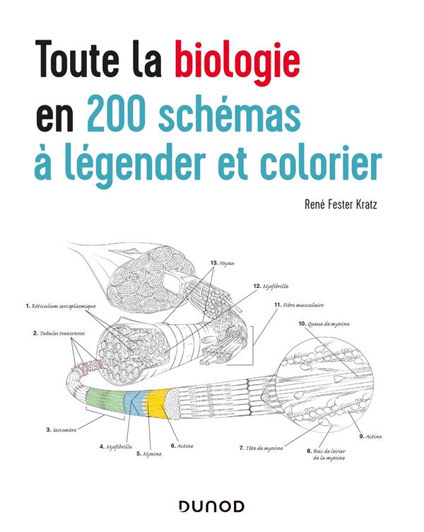 TOUTE LA BIOLOGIE EN 200 SCHEMAS A LEGENDER ET COLORIER