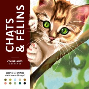 COLORIAGES MYSTERES - CHATS ET FELINS
