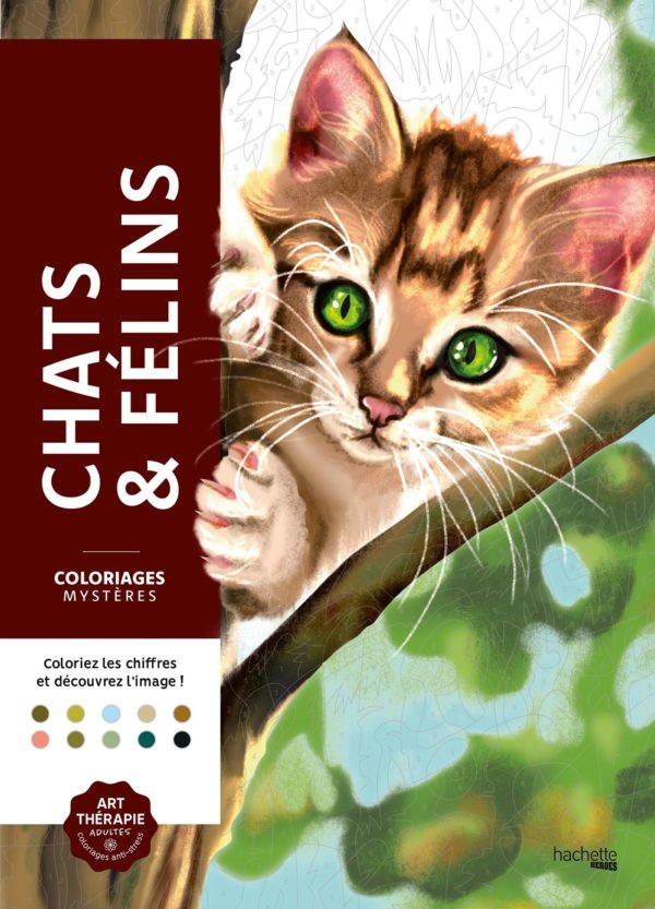COLORIAGES MYSTERES - CHATS ET FELINS