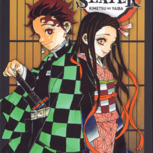COFFRET DEMON SLAYER T21 + FANBOOK N 01