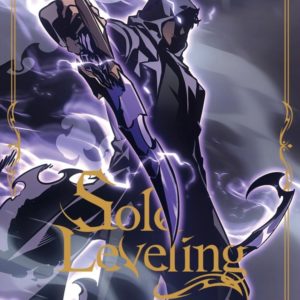 SOLO LEVELING T19 - VOL19