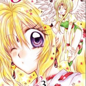 KAMIKAZE KAITO JEANNE - TOME 03