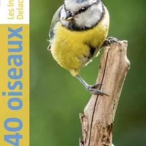 440 OISEAUX - LES INDISPENSABLES DELACHAUX - NOUVELLE EDITION