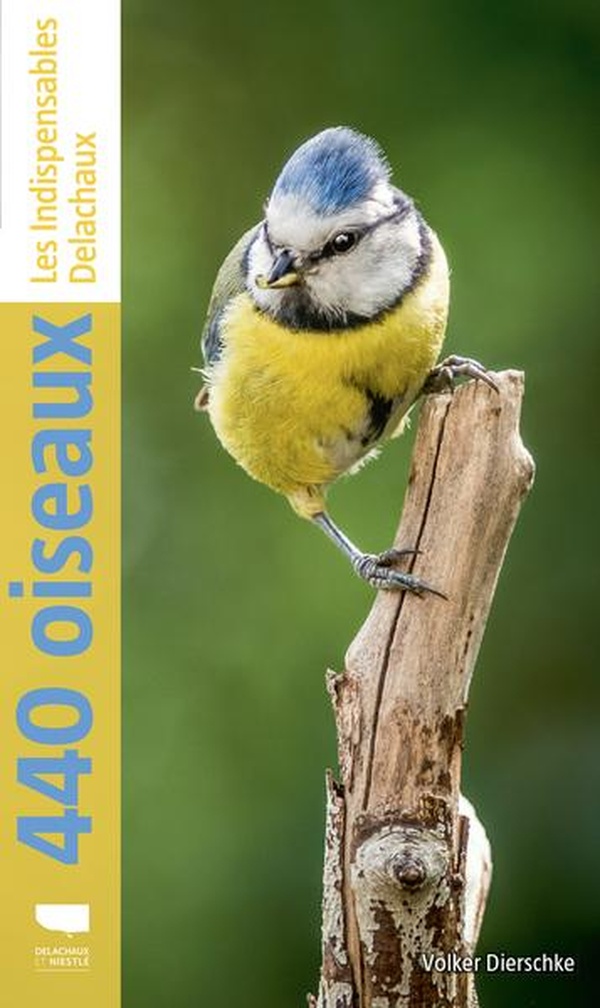440 OISEAUX - LES INDISPENSABLES DELACHAUX - NOUVELLE EDITION
